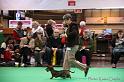 Crufts2011_2 1298